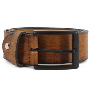 Correas BFC-1241