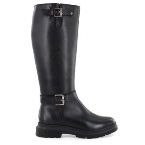 Botas & botines DC22403P01