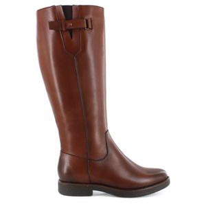Botas & botines DC12503P01