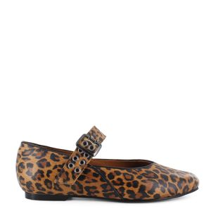 Zapatos DG22507